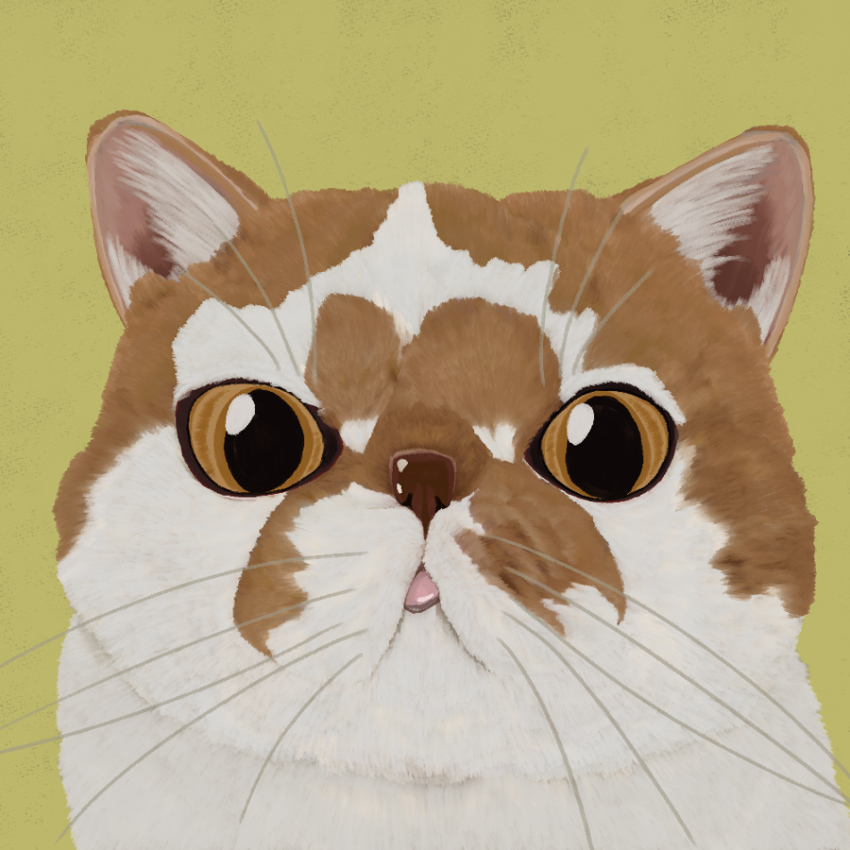 おこめ